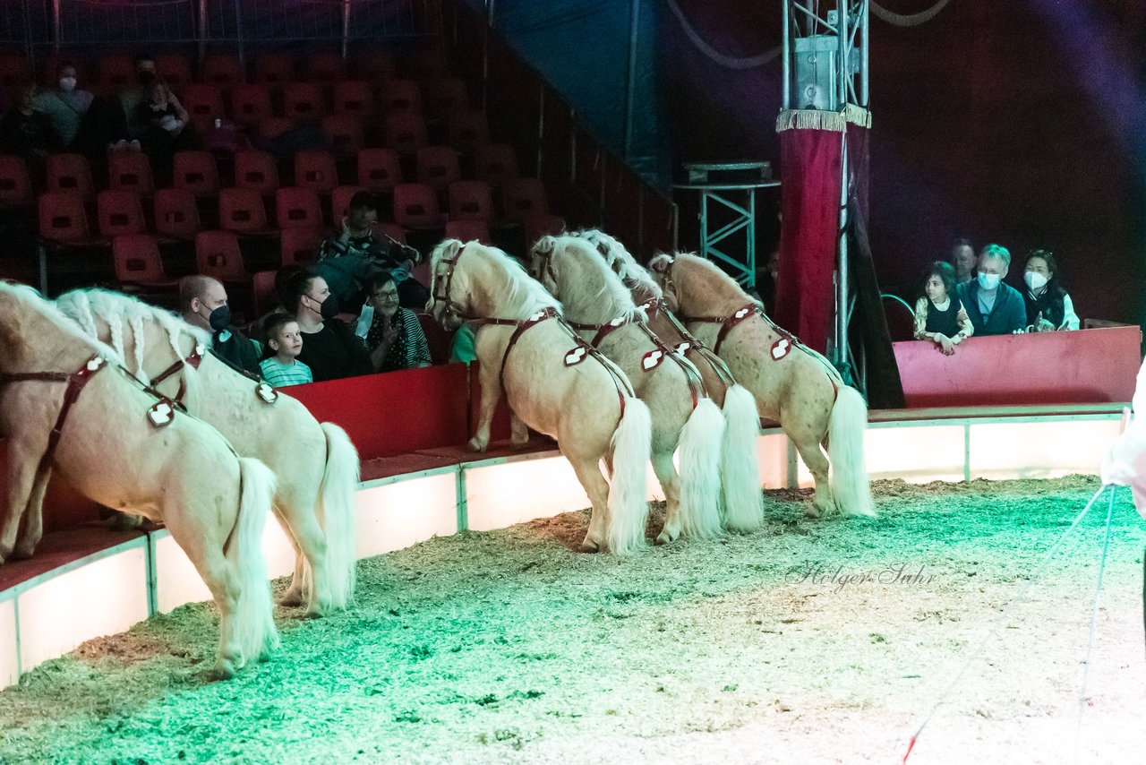 Bild 374 - Zirkus Europa